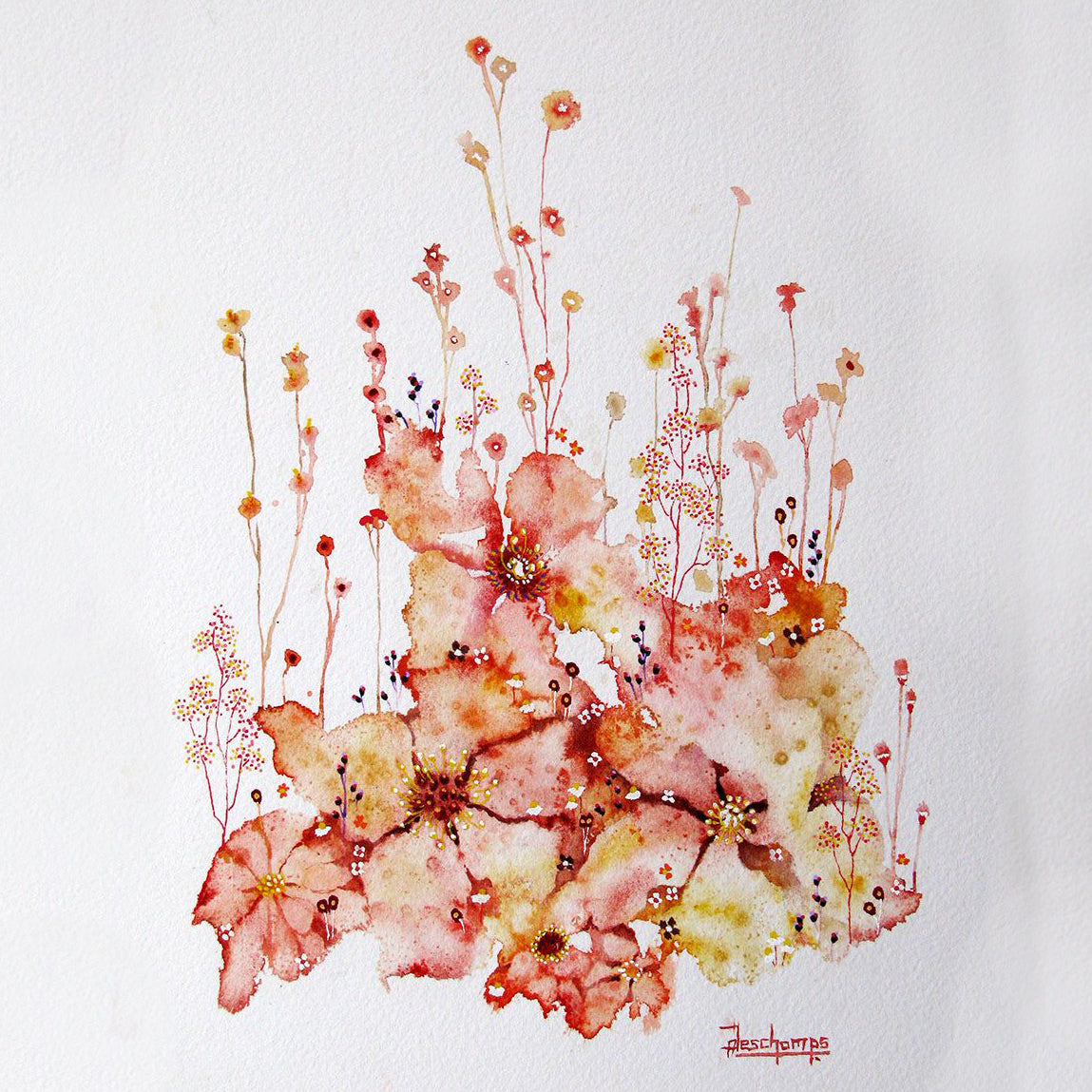 AMANDINE DESCHAMPS