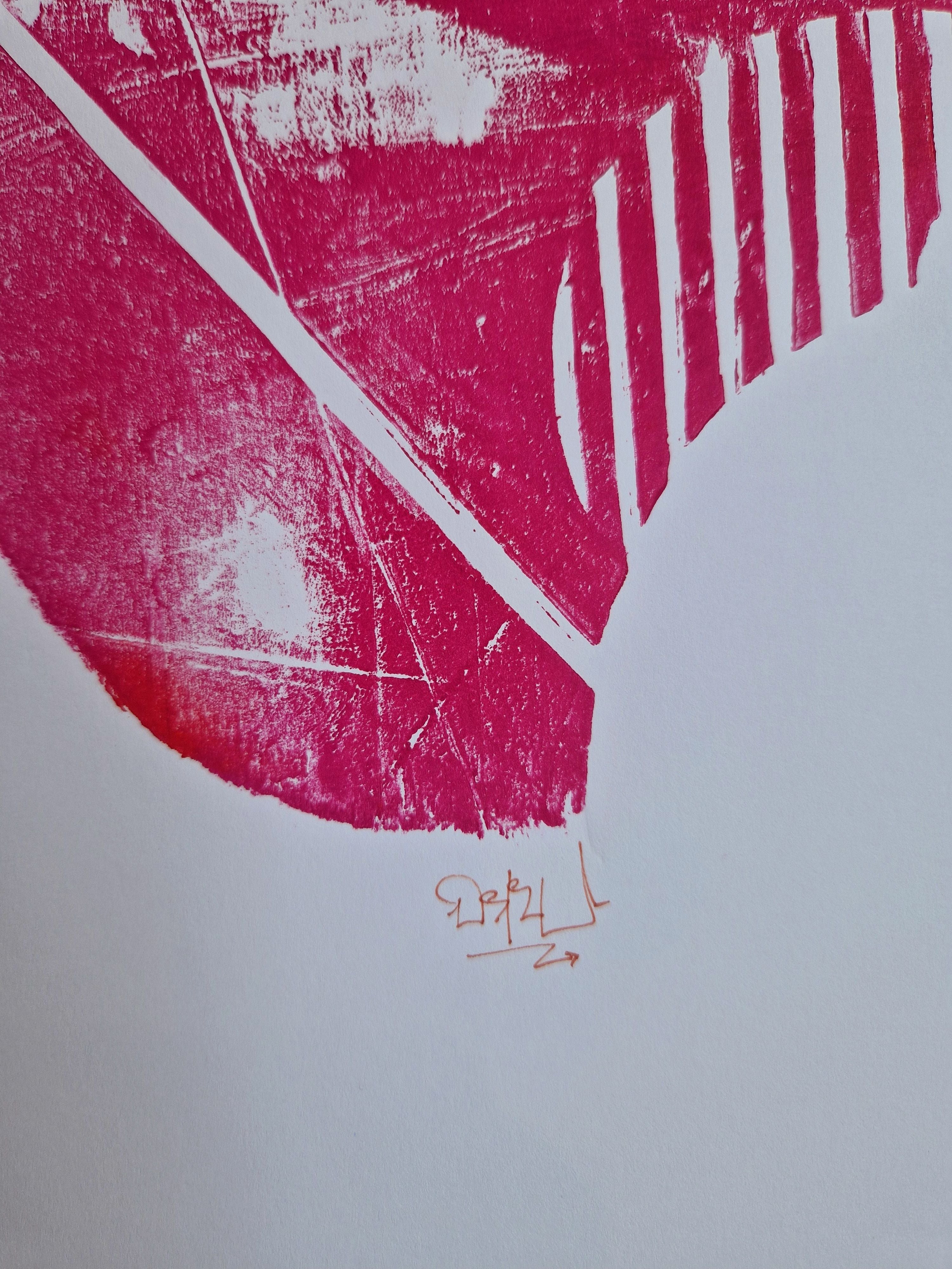Editions d'art de OSRU a pour titre SKATE/OISEAUX GRAPHIQUE ROUGE style no dim : OSRUprix:70