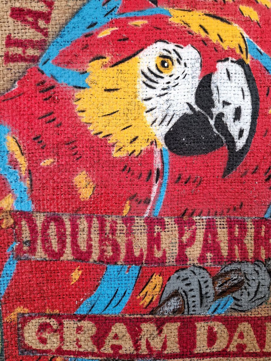 Tableau de MOSKO a pour titre Double parrot style street art dim : MOSKOprix:1600