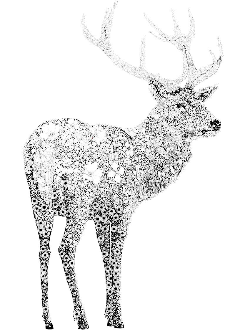 Editions d'art de CAMILLE POLI a pour titre CERF style figuratif, graphique dim : CAMILLE POLIprix:90