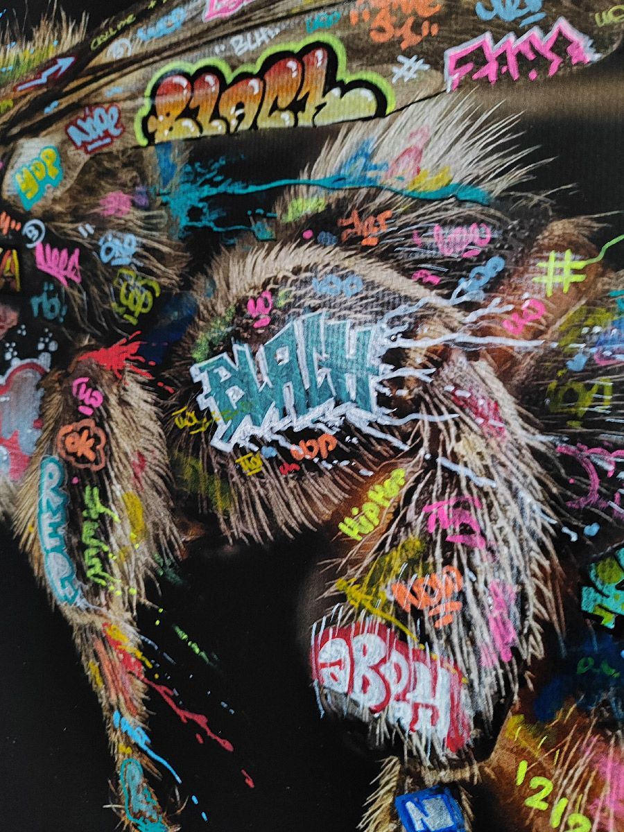 Tableau de BLACH a pour titre Abeille style graffiti, street art dim : BLACHprix:550