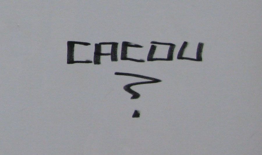 Tableau de CACOU a pour titre CIBLE 5 style street pop art dim : CACOUprix:580