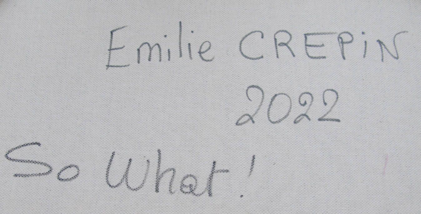 Tableau de EMILIE CREPIN a pour titre So what ! style figuratif dim : EMILIE CREPINprix:400