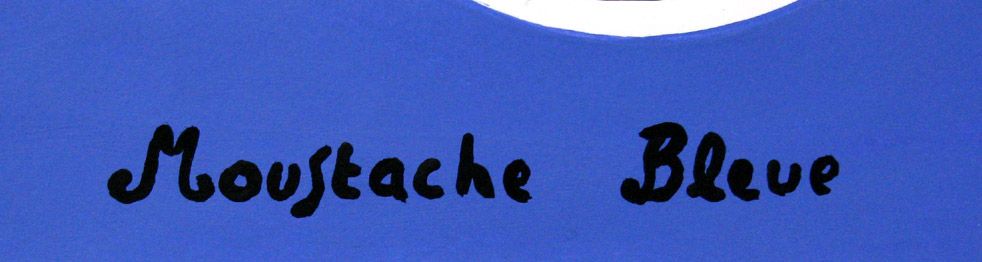Dessin de MOUSTACHE BLEUE a pour titre Live slowly style figuratif dim : MOUSTACHE BLEUEprix:120