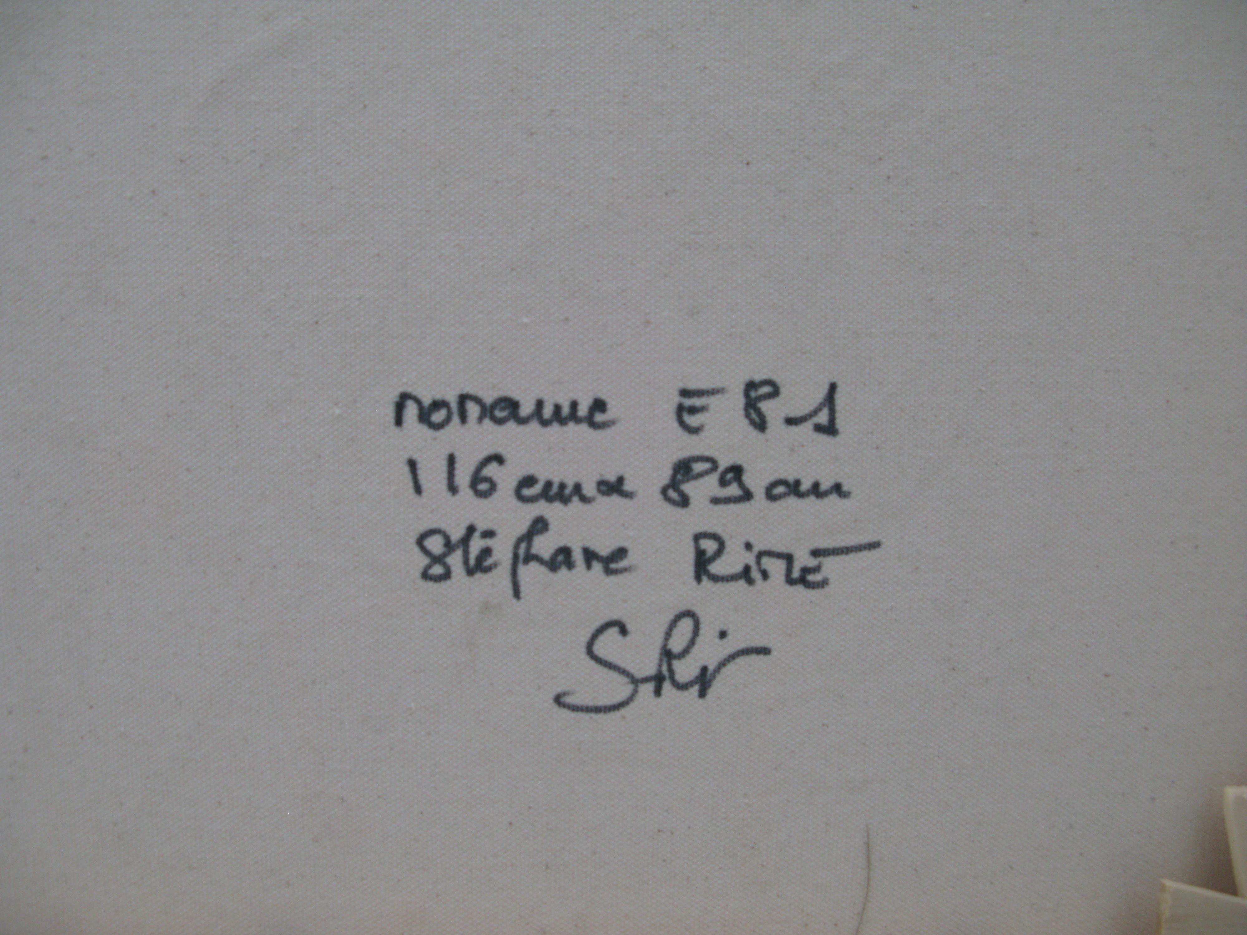 Tableau de STEPHANE RIME a pour titre NO NAME E81 style abstrait dim : STEPHANE RIMEprix:950