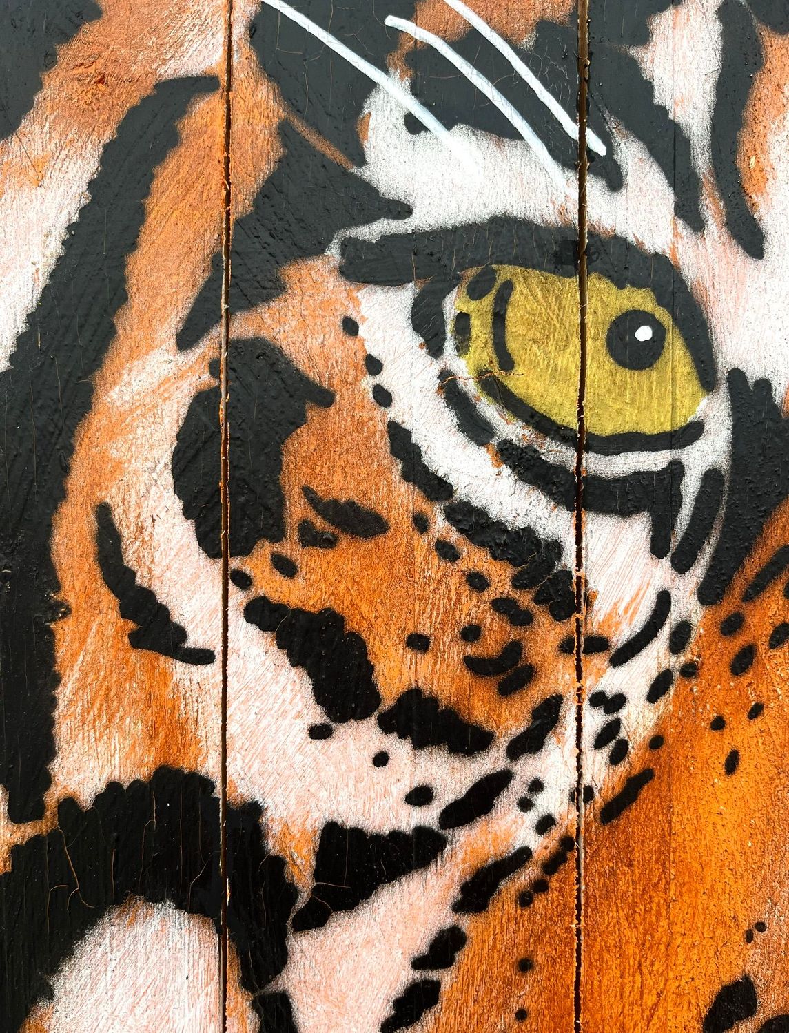 Tableau de MOSKO a pour titre Focus tigre style street art dim : MOSKOprix:1050