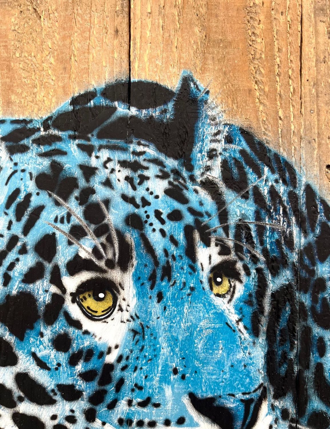 Tableau de MOSKO a pour titre Jaguar bleu face style street art dim : MOSKOprix:1500