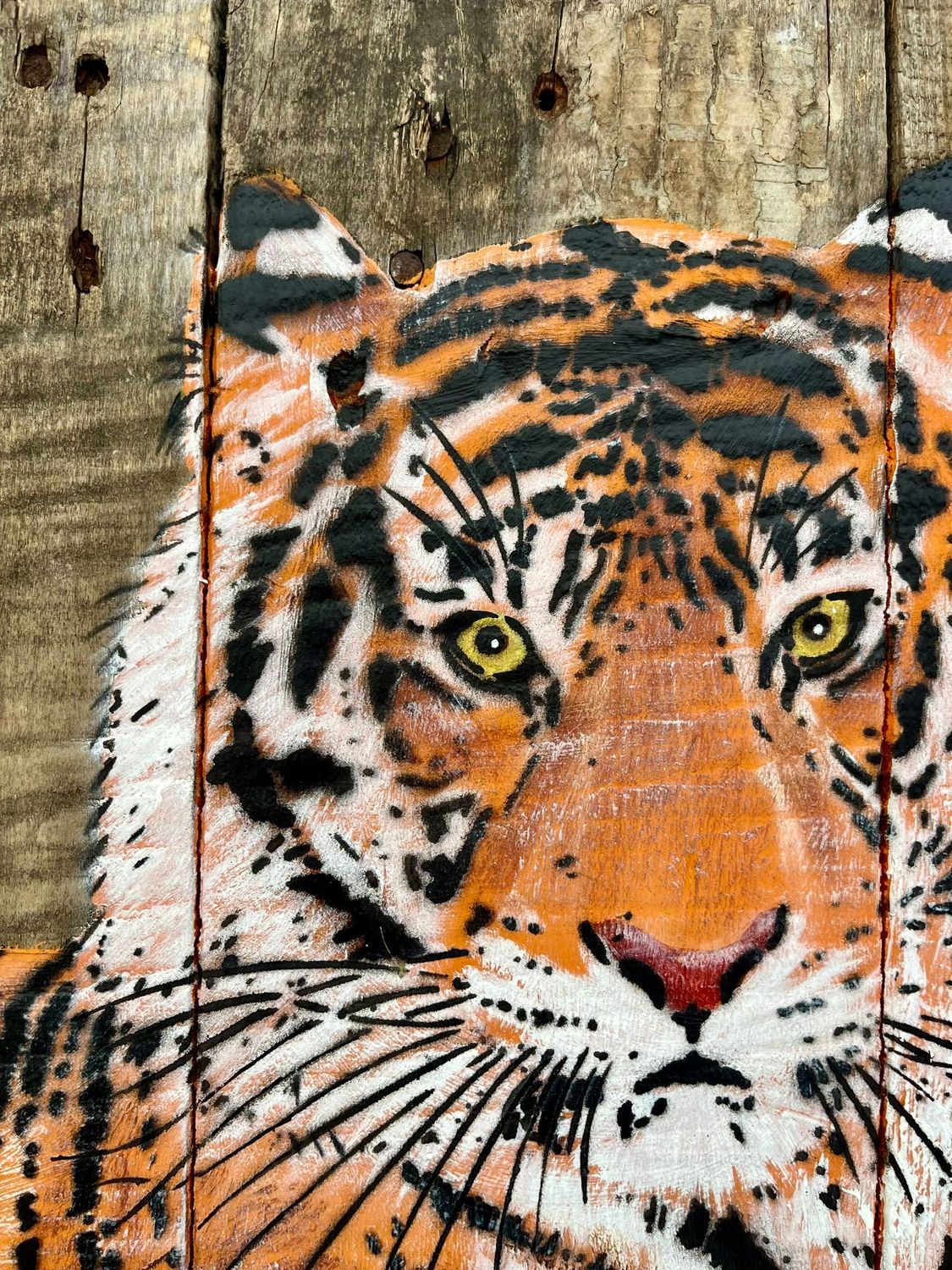 Tableau de MOSKO a pour titre Tigre allongé style street art dim : MOSKOprix:2000