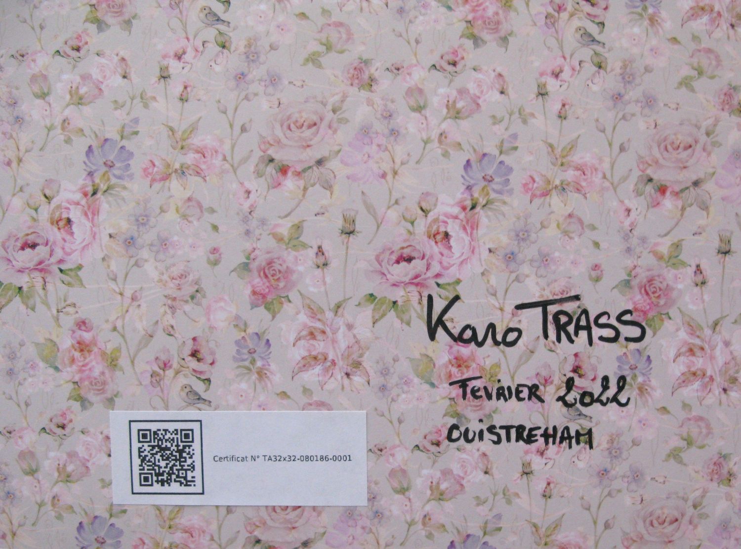 Tableau de KARO TRASS a pour titre Chante à mon oreille style street pop art, street art dim : KARO TRASSprix:90