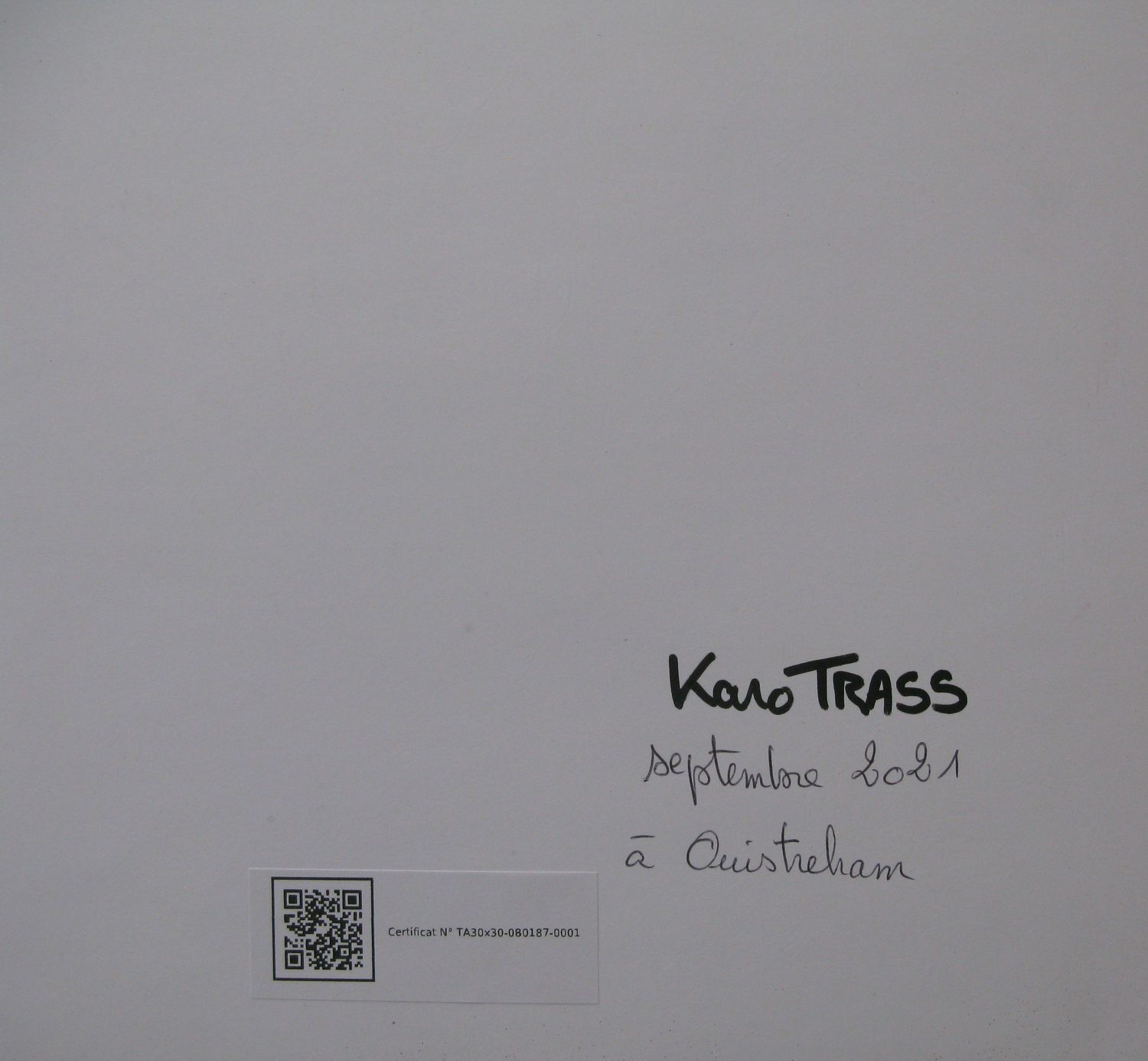 Tableau de KARO TRASS a pour titre Suzy style street pop art, street art dim : KARO TRASSprix:90