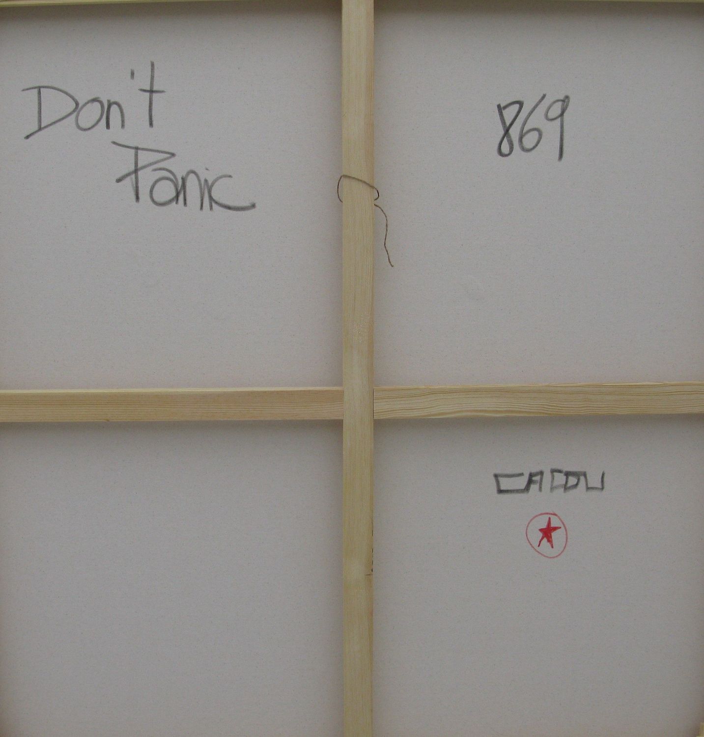 Tableau de CACOU a pour titre DON'T PANIC style graphique dim : CACOUprix:850