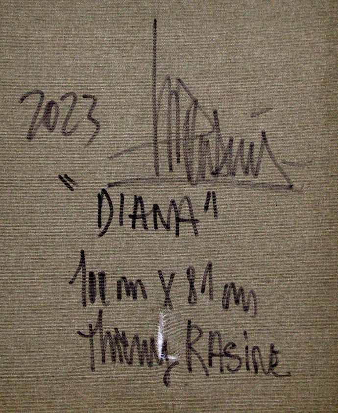 Tableau de THIERRY RASINE a pour titre Diana style street pop art, street art dim : THIERRY RASINEprix:1400