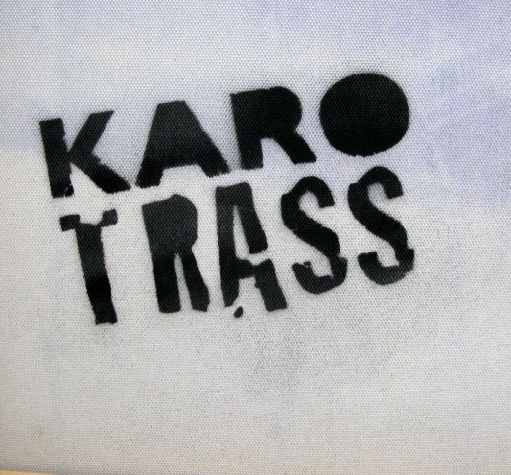 Tableau de KARO TRASS a pour titre REVE D'UN CHAT style street pop art, street art dim : KARO TRASSprix:300