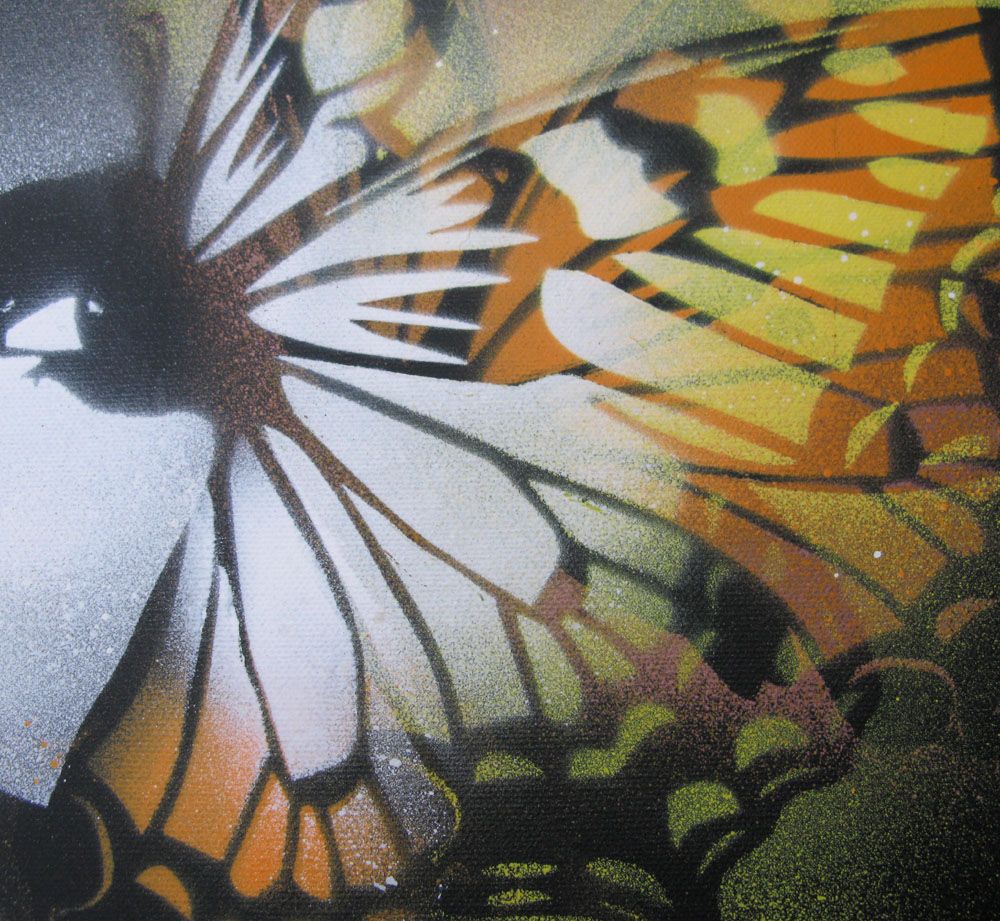 Tableau de KARO TRASS a pour titre Butterfly style street pop art, street art dim : KARO TRASSprix:120