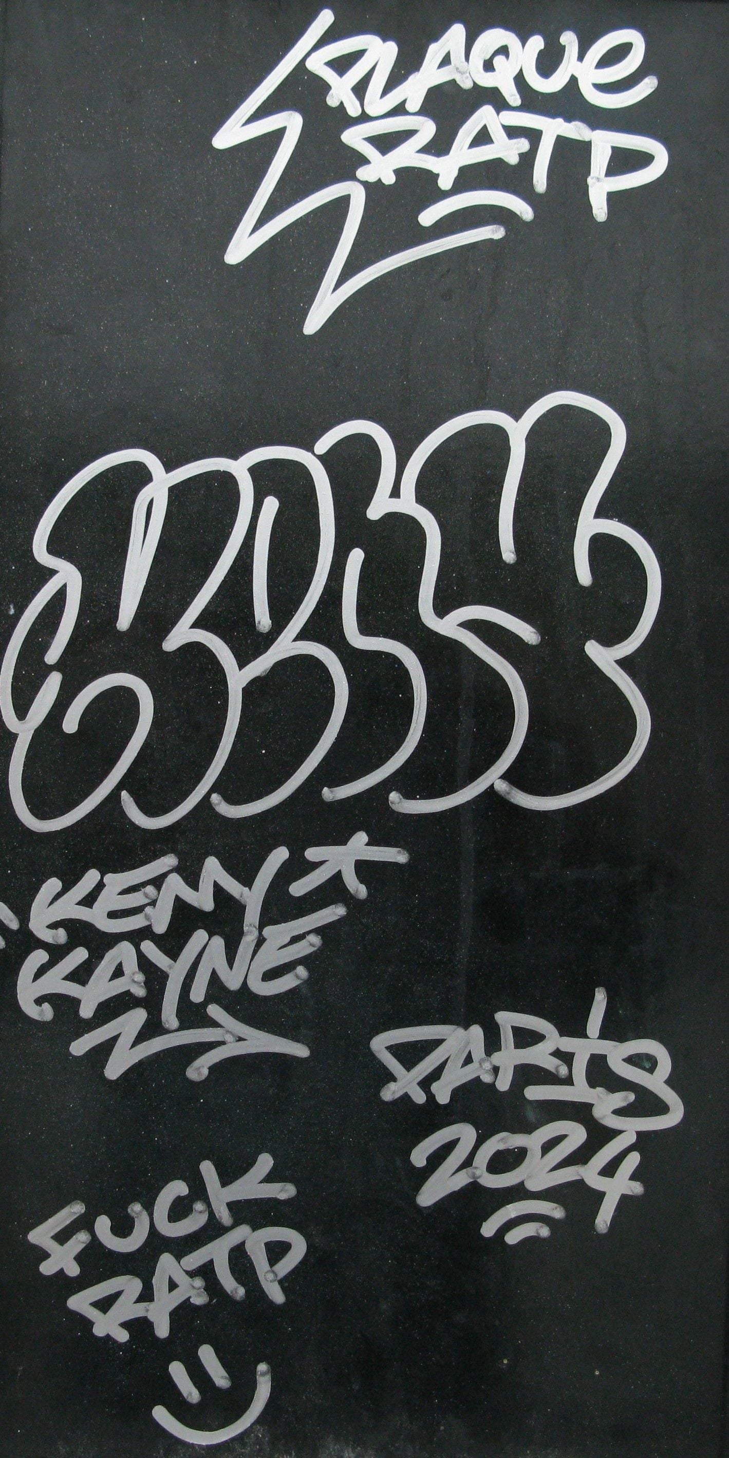 Tableau de KENY a pour titre Camera 1 style graffiti, street art dim : KENYprix:400