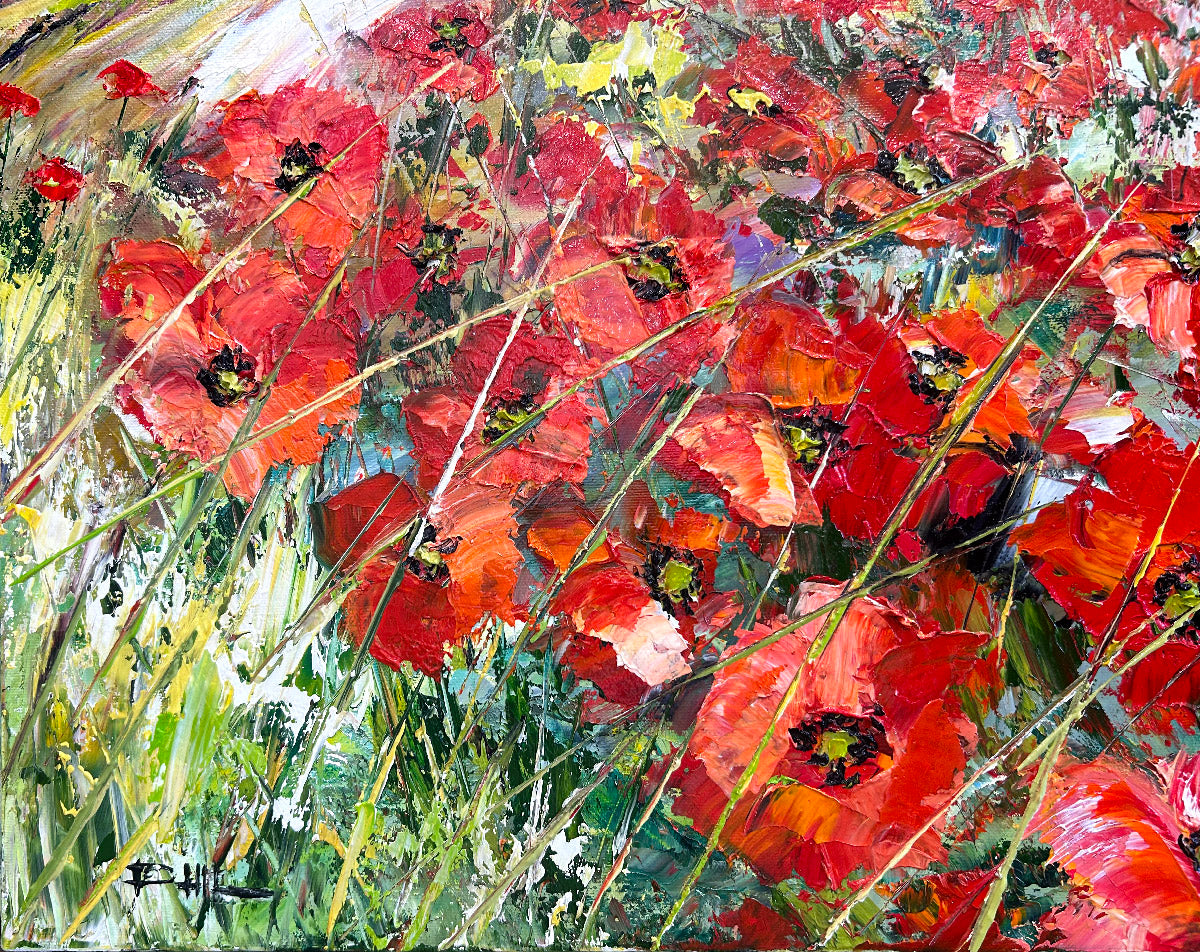 Les coquelicots