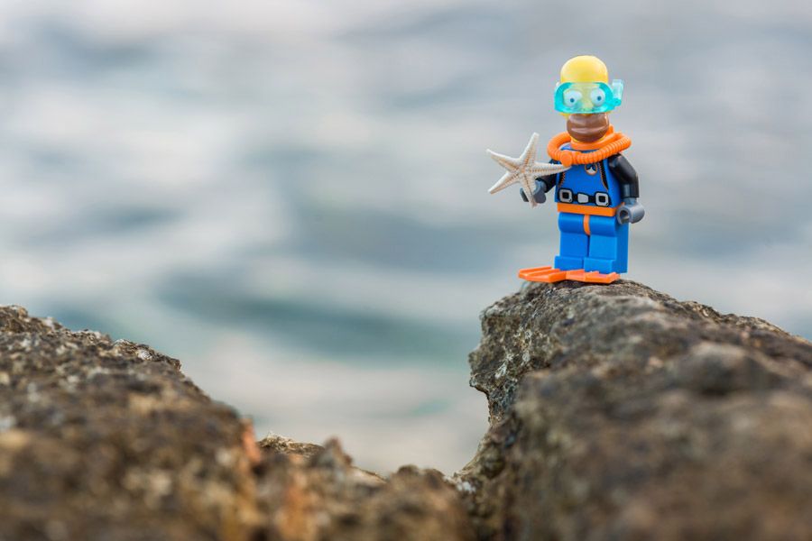 Photo de SAMSOFY a pour titre HOMER BEACH style figuratif dim : SAMSOFYprix:60