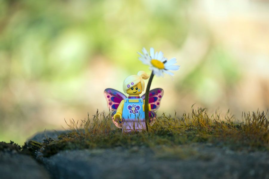 Photo de SAMSOFY a pour titre LA FILLE PAPILLON style graphique dim : SAMSOFYprix: