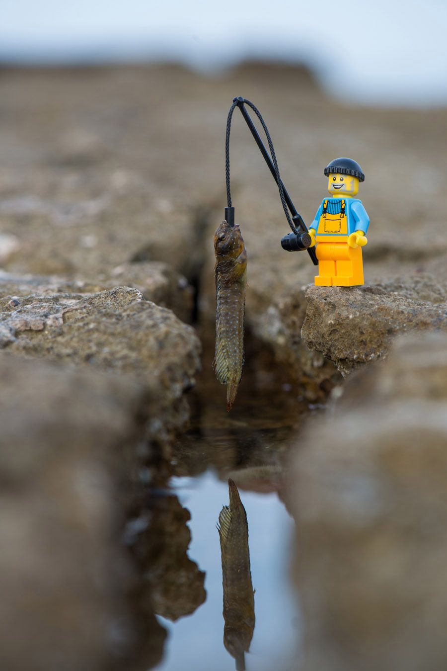 Photo de SAMSOFY a pour titre MASTERPIECE style figuratif dim : SAMSOFYprix:60