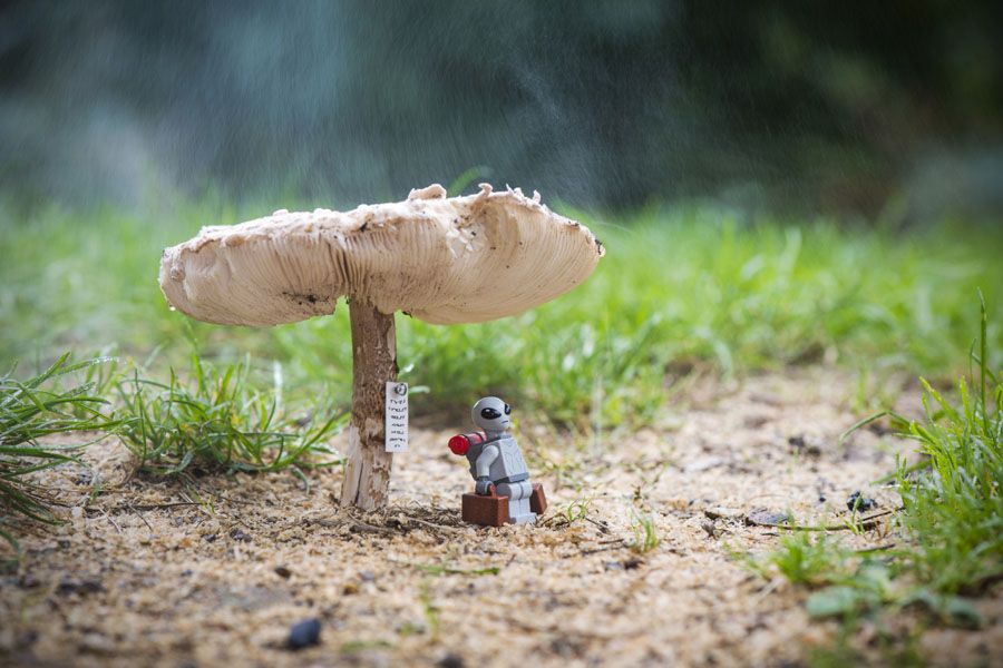 Photo de SAMSOFY a pour titre MARTIAN BUS STOP style graphique dim : SAMSOFYprix: