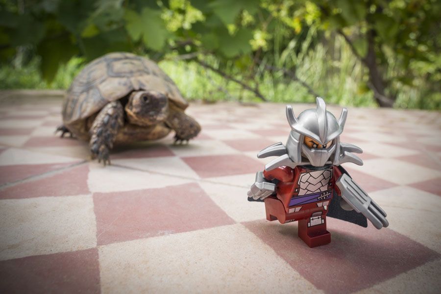 Photo de SAMSOFY a pour titre SHREDDER 2 style graphique dim : SAMSOFYprix:60
