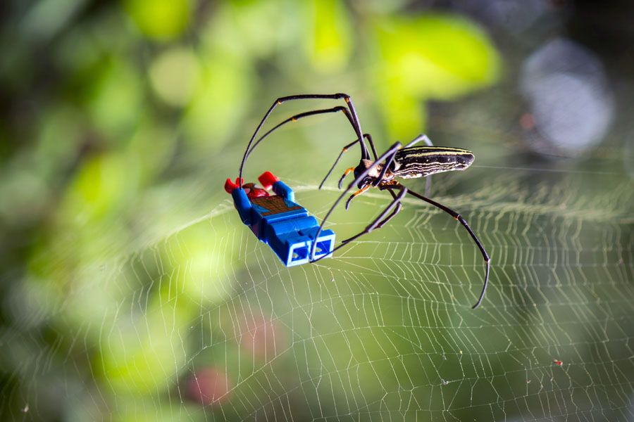 Photo de SAMSOFY a pour titre SPIDER style graphique dim : SAMSOFYprix:60