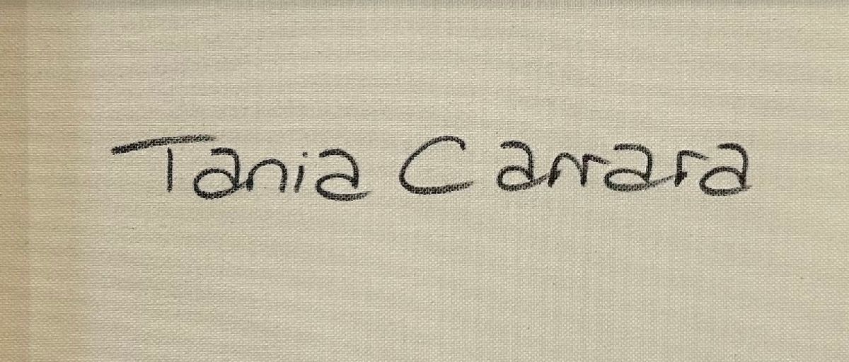 Tableau de TANIA CARRARA a pour titre Nuances de Provence style abstrait dim : TANIA CARRARAprix:950