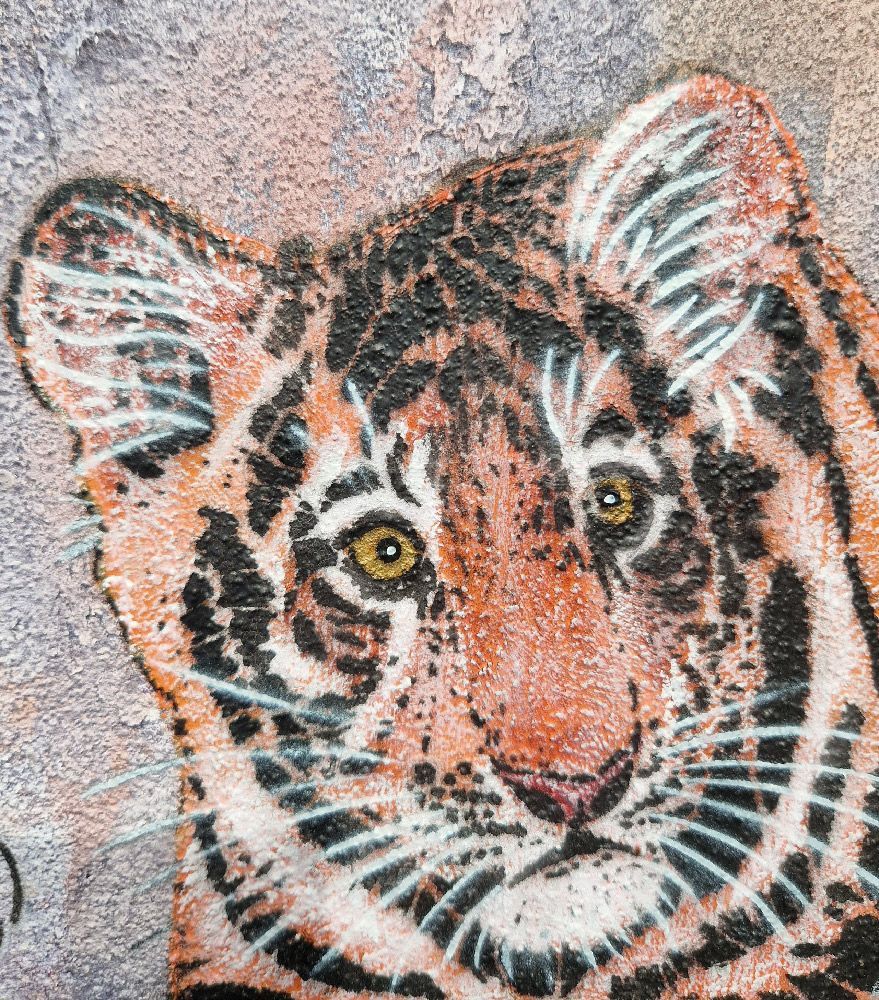 Tableau de MOSKO a pour titre Bébé tigre style street art dim : MOSKOprix:420