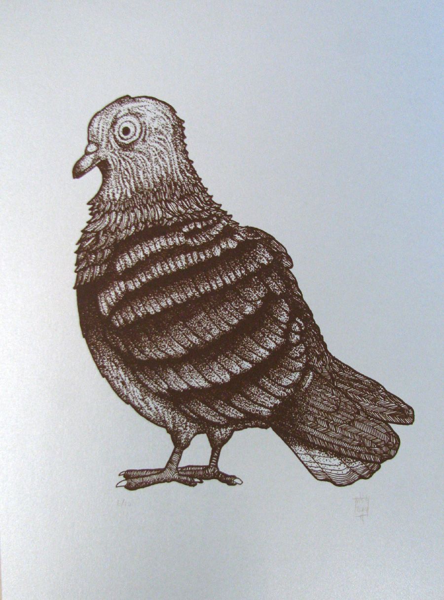 Editions d'art de JIBE a pour titre PIGEON style graphique dim : JIBEprix:100