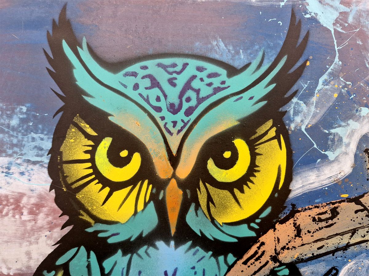 Tableau de Craig & Emer a pour titre Chouette style street art dim : Craig & Emerprix:400