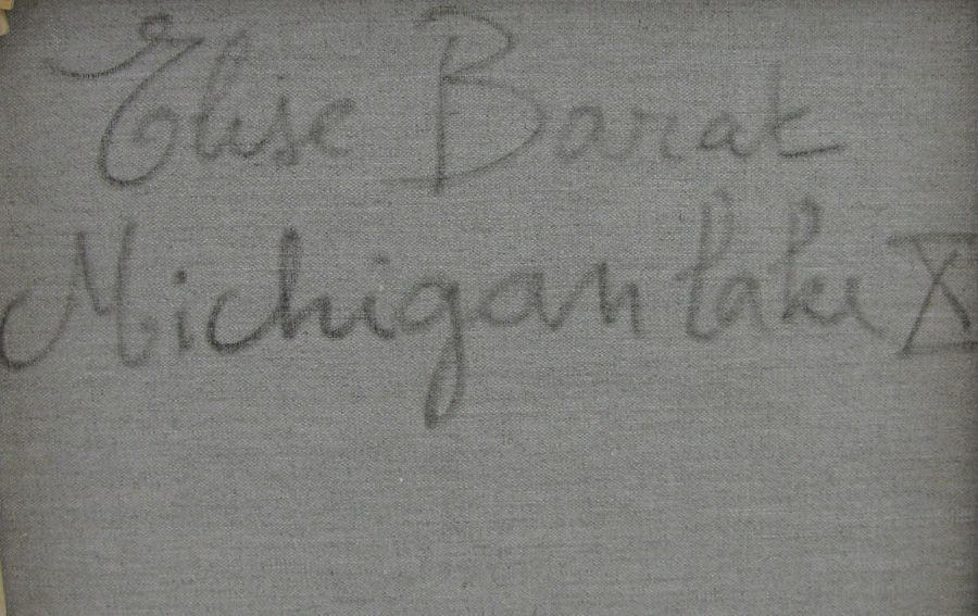 Tableau de ELISE BARAT a pour titre MICHIGAN LAKE X style no dim : ELISE BARATprix:850