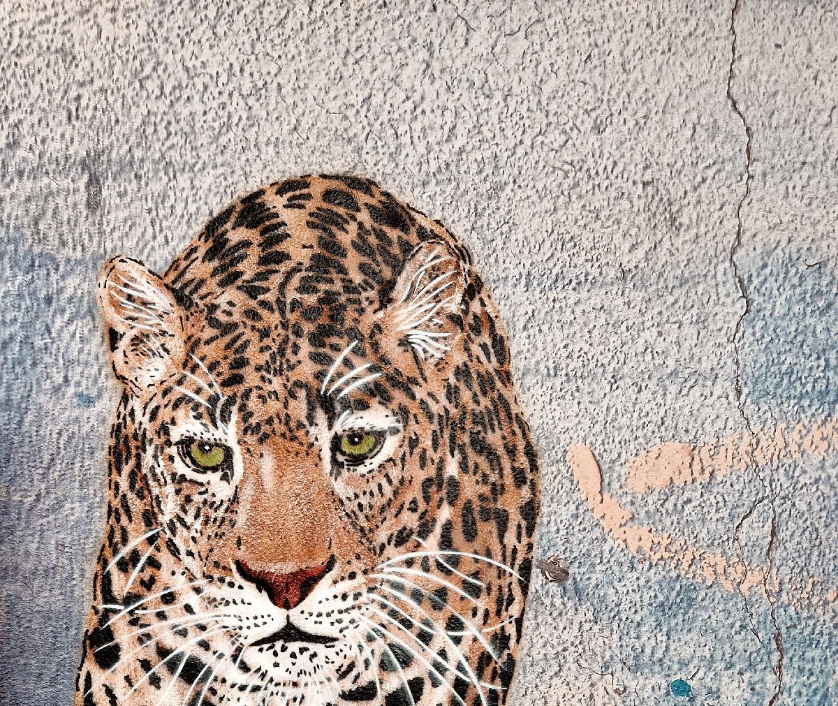 Tableau de MOSKO a pour titre Panthère marchant sur mur style street art dim : MOSKOprix:1600