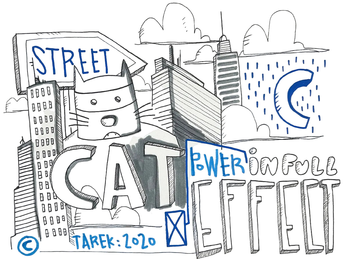 Cat power