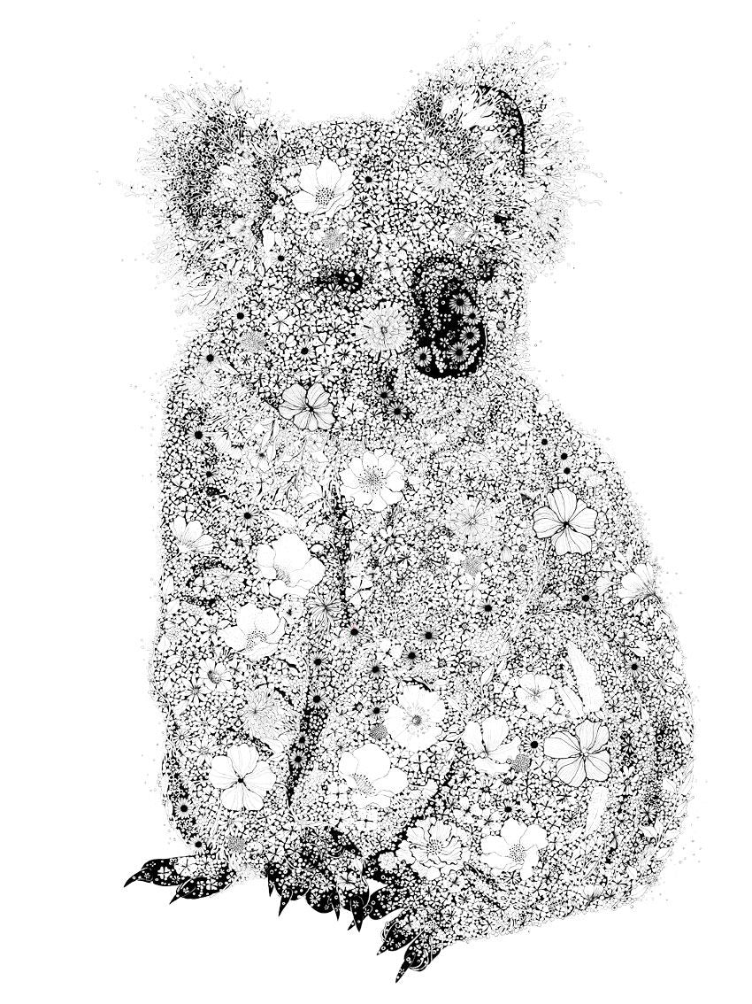 Estampe figuratif petit format blanc et noir KOALA – CAMILLE POLI – 30 × 40 cm
