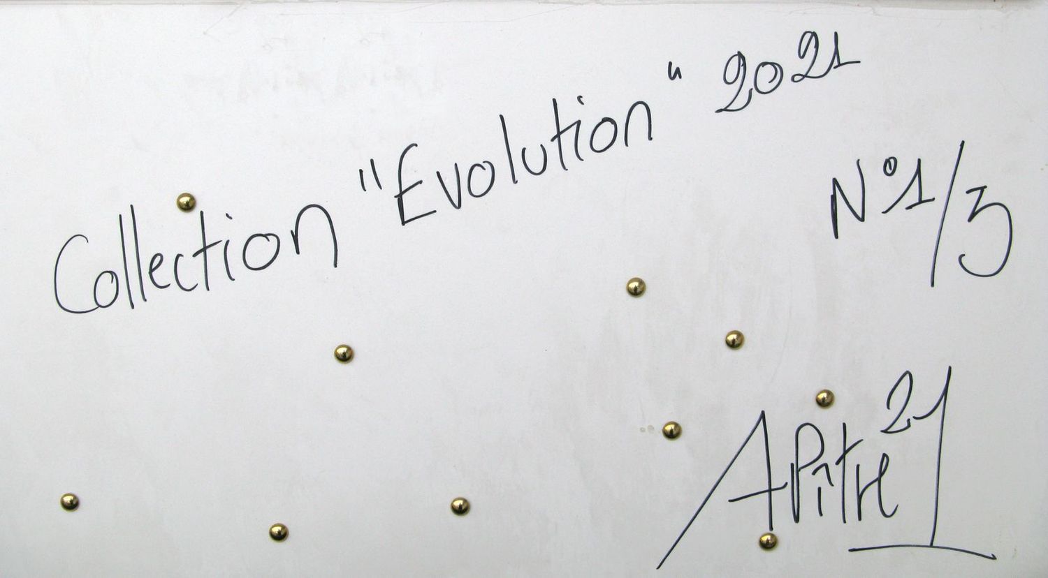 Tableau de L'ARTISTE PITRE a pour titre Evolution style figuratif, graphique dim : L'ARTISTE PITREprix:1560