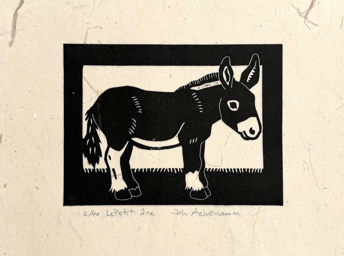 Le petit âne