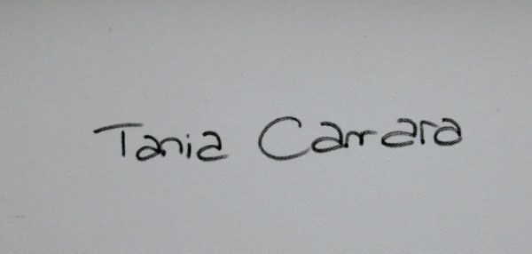 Tableau de TANIA CARRARA a pour titre Nuances d'hiver style abstrait dim : TANIA CARRARAprix:1100