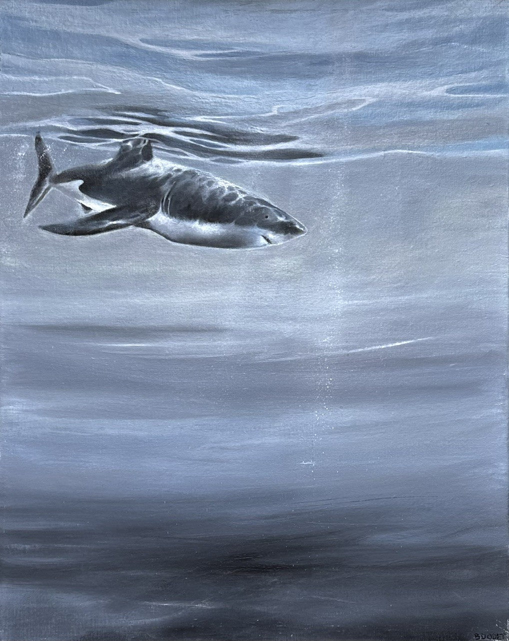Océan 06