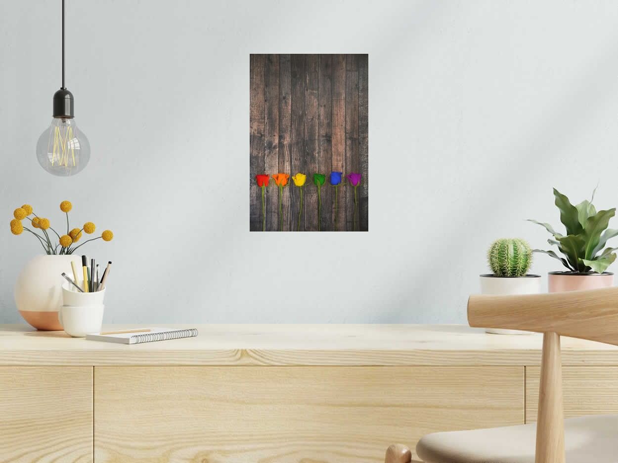 Photo de AURELIE SARRAMON a pour titre Rainbow Roses style figuratif dim : AURELIE SARRAMONprix:60