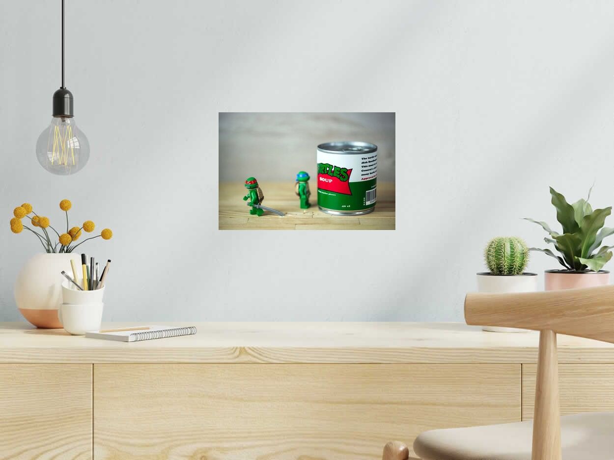Photo de SAMSOFY a pour titre TURTLE SOUP style figuratif dim : SAMSOFYprix:60