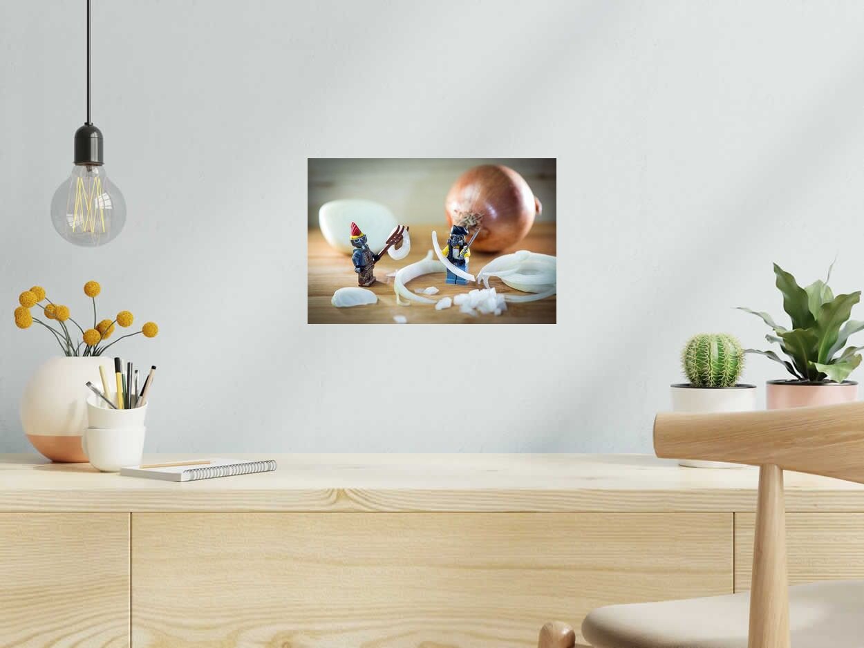 Photo de SAMSOFY a pour titre OIGNON SOUP style graphique dim : SAMSOFYprix:60