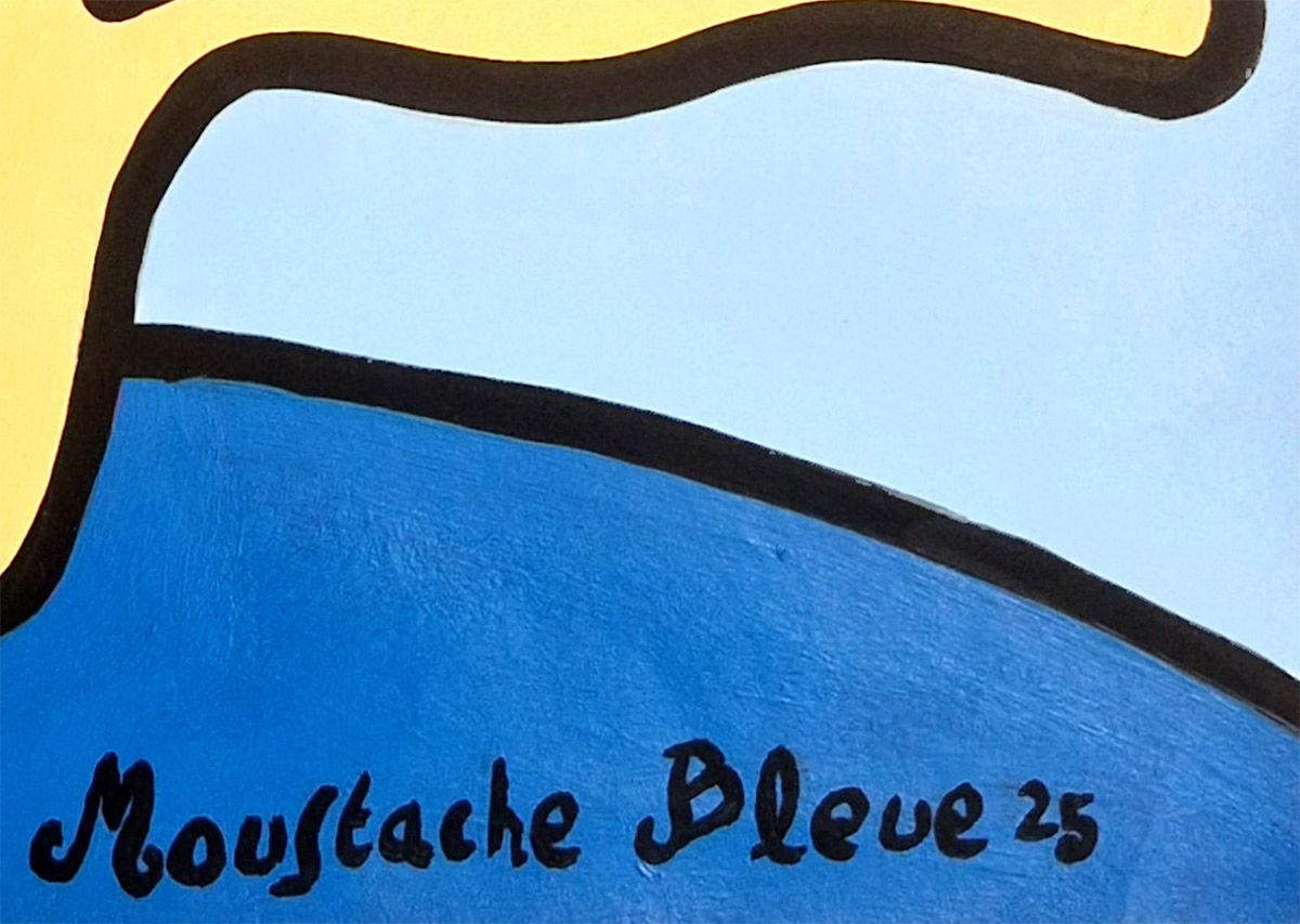 Dessin de MOUSTACHE BLEUE a pour titre On aime voyager ! style figuratif dim : MOUSTACHE BLEUEprix:70