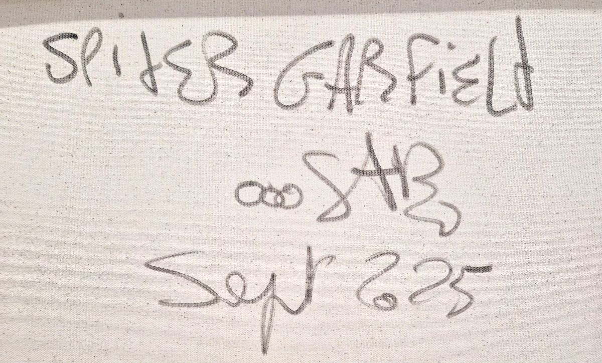 Tableau de RICO SAB a pour titre Spider Garfield style street pop art, street art dim : RICO SABprix:290
