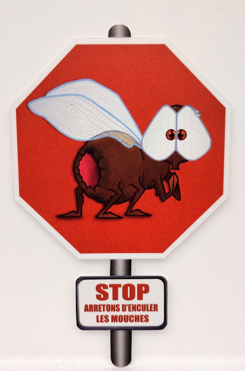 Tableau de L'ARTISTE PITRE a pour titre  Stop arretons  d'******* les mouches style figuratif, graphique dim : L'ARTISTE PITREprix:160