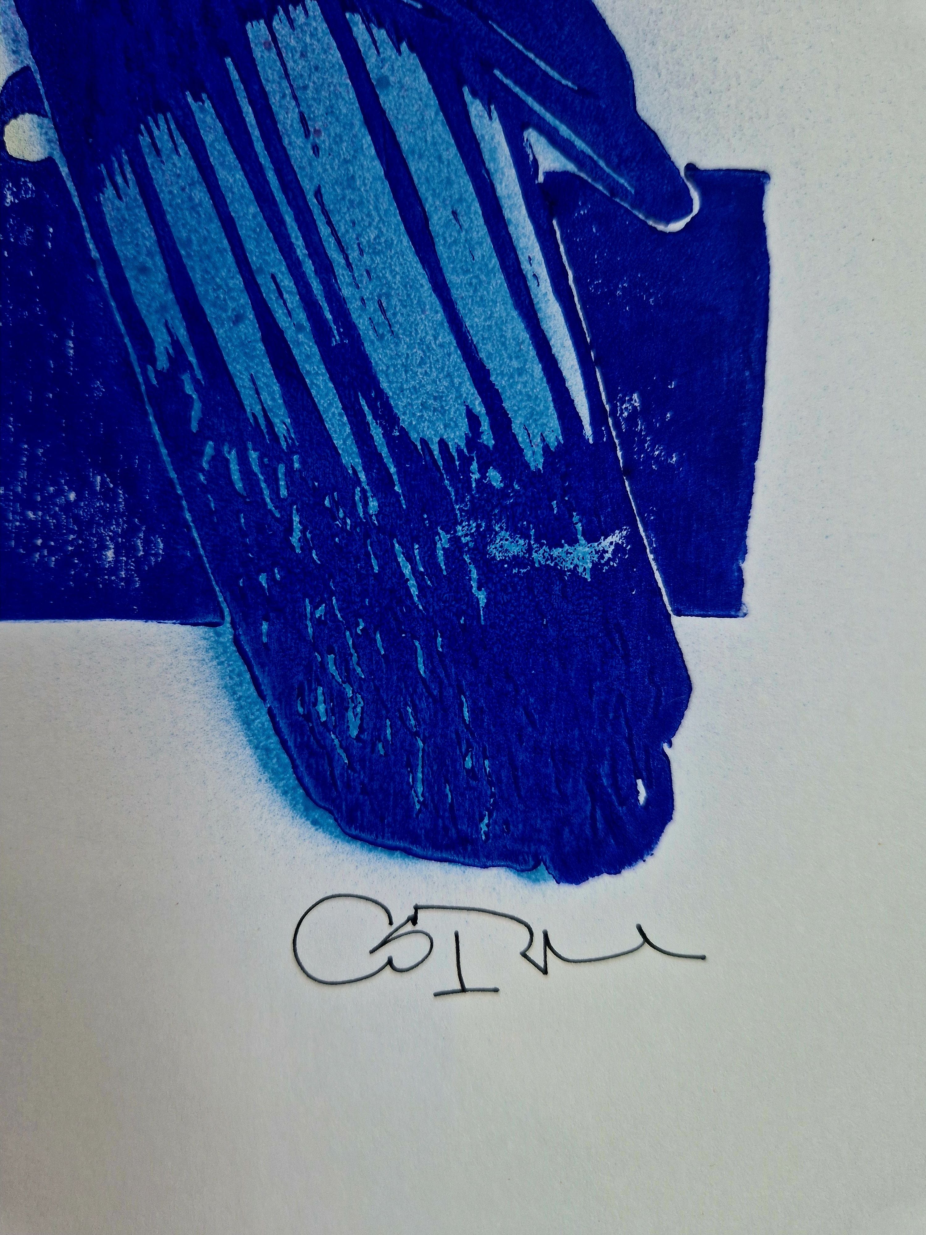 Editions d'art de OSRU a pour titre  SKATE/3 PIES PAPOTENT BLEU ET VIOLET style figuratif dim : OSRUprix:70