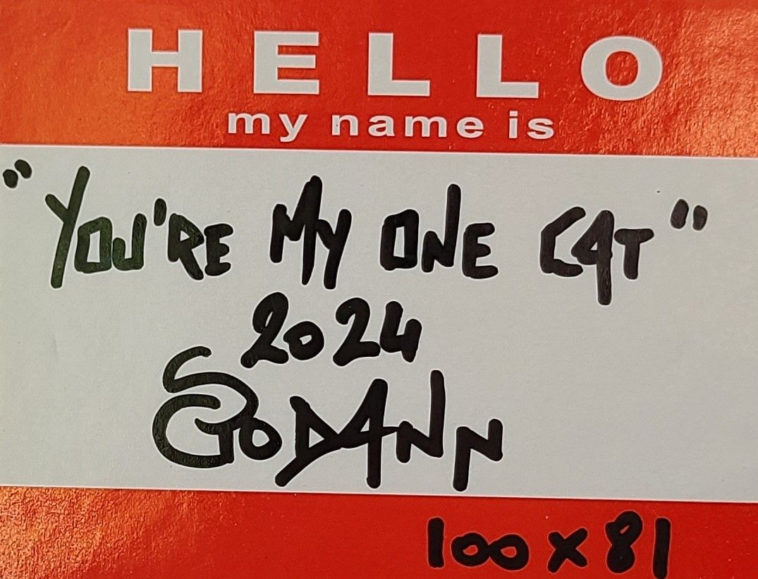 Tableau de Stephanie Godann a pour titre  You're my one cat style street art dim : Stephanie Godannprix:1000