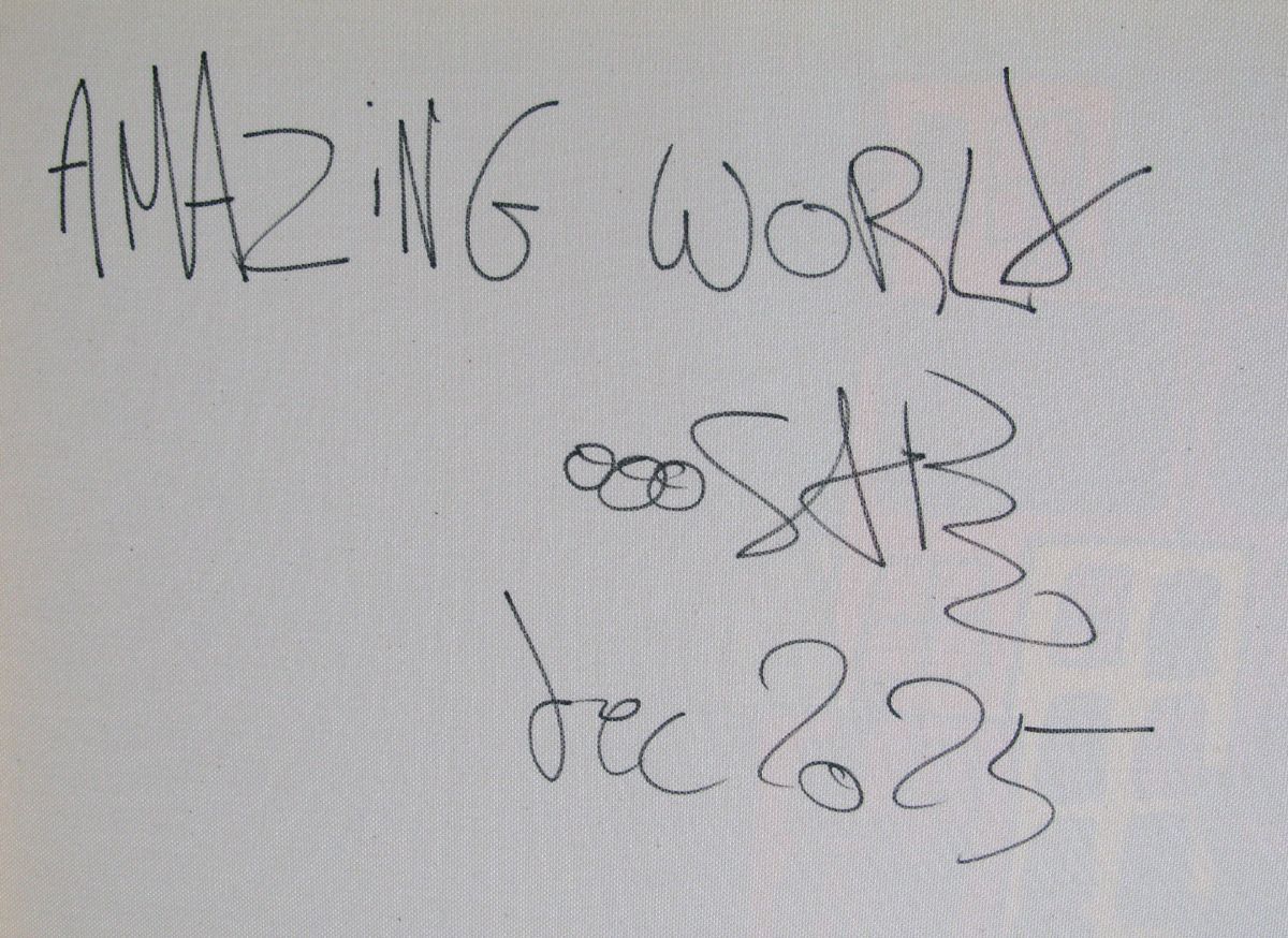 Tableau de RICO SAB a pour titre  Amazing World style street pop art, street art dim : RICO SABprix:1350