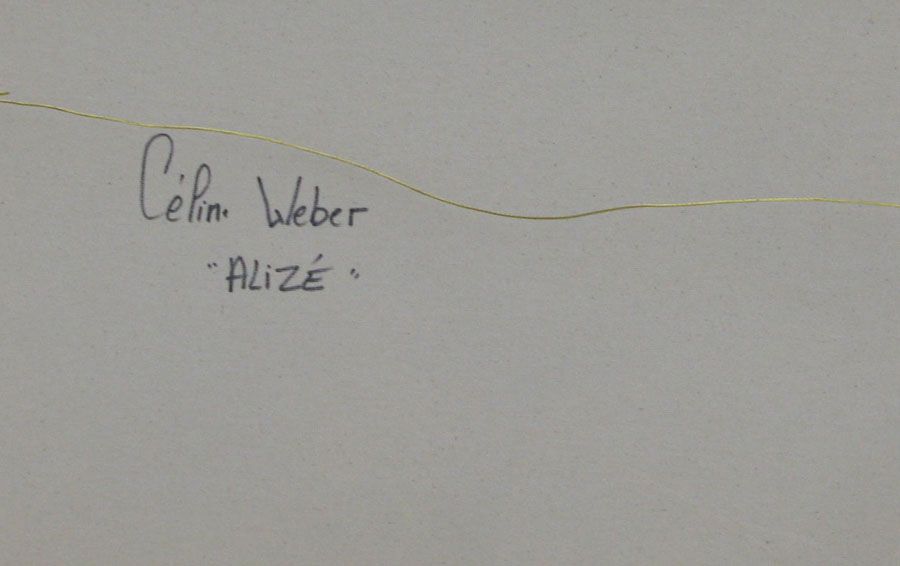 Tableau de CELINE WEBER a pour titre  ALIZEE style abstrait dim : CELINE WEBERprix:1100