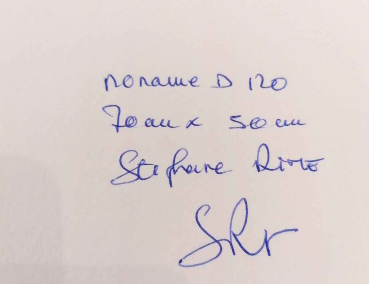 Dessin de STEPHANE RIME a pour titre  Noname D120 style abstrait dim : STEPHANE RIMEprix:140