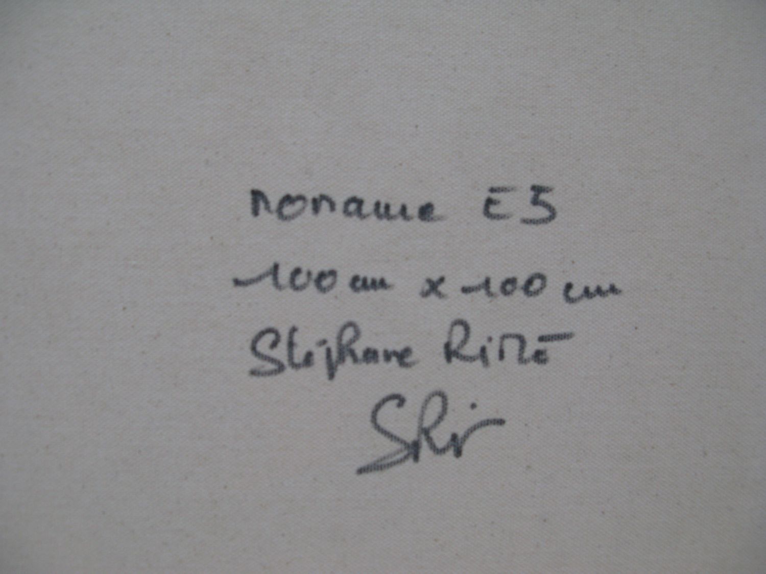 Tableau de STEPHANE RIME a pour titre  noname E5 style abstrait dim : STEPHANE RIMEprix:850